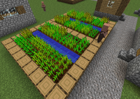 Ферма большая.png